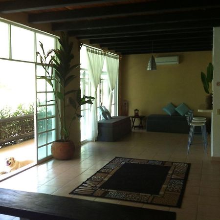 Casa Guacamaya Hotel Palenque Buitenkant foto