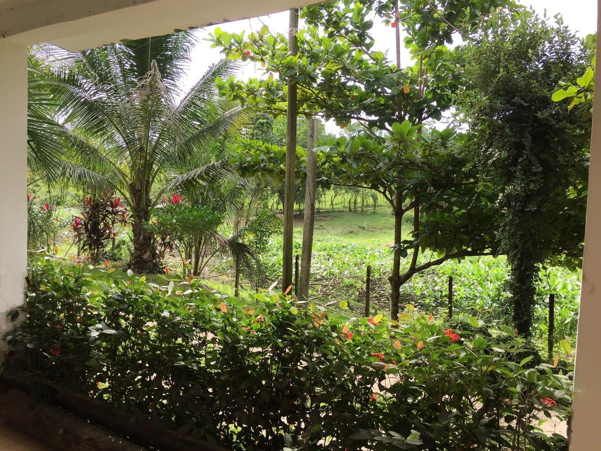 Casa Guacamaya Hotel Palenque Buitenkant foto